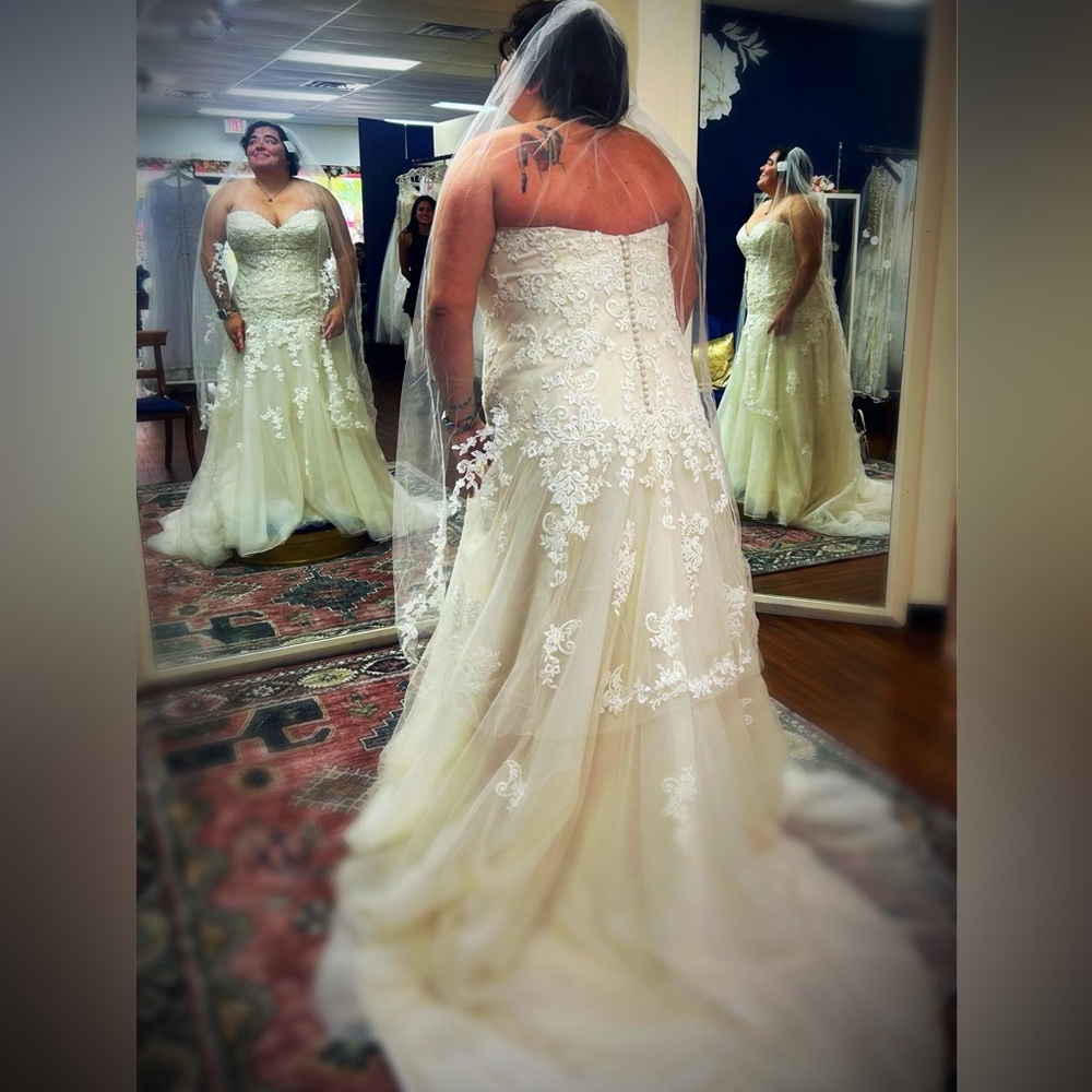 Plus Wedding Dress